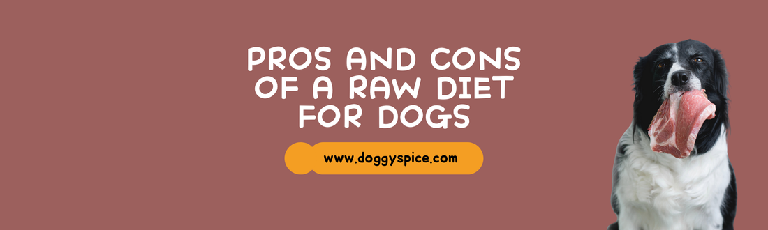 The Pros and Cons of Feeding Your Dog a Raw Diet