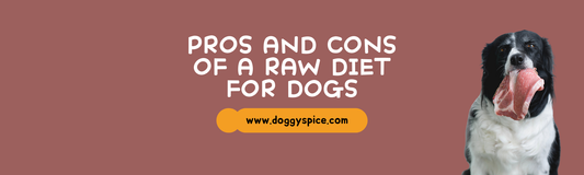 The Pros and Cons of Feeding Your Dog a Raw Diet