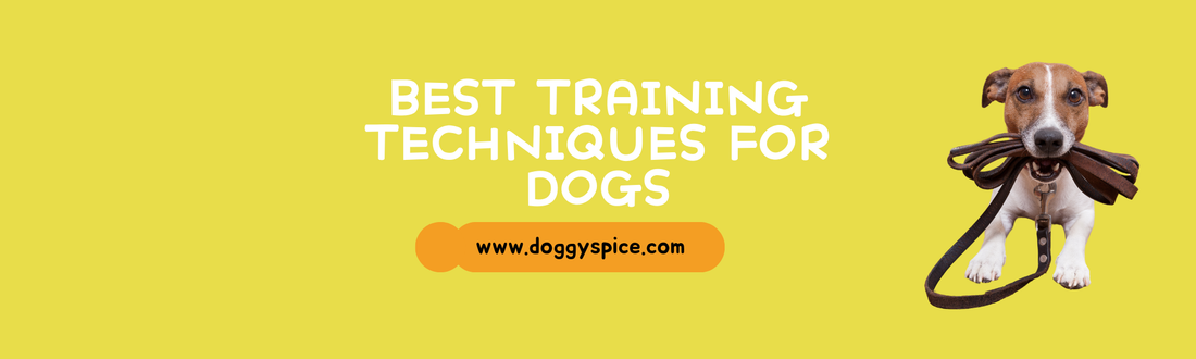 Best Training Techniques for a Well-Behaved Dog