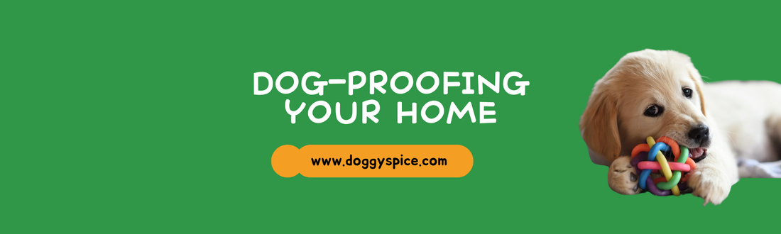 Dog-Proofing Your Home: Essential Tips for New Owners