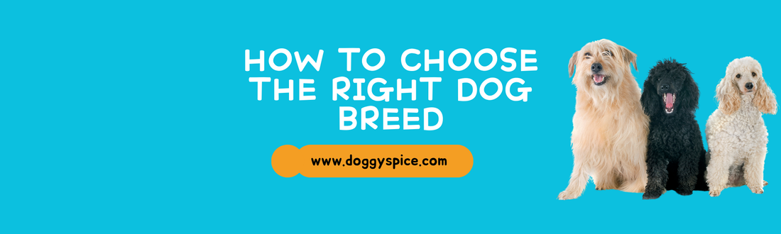 How to Choose the Right Dog Breed for Your Lifestyle