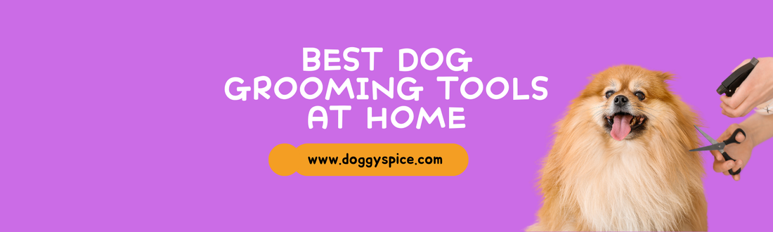 The Best Dog Grooming Tools for At-Home Care
