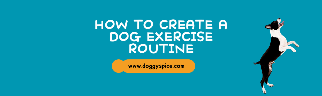 How to Create a Dog Exercise Routine: Fun Activities to Try