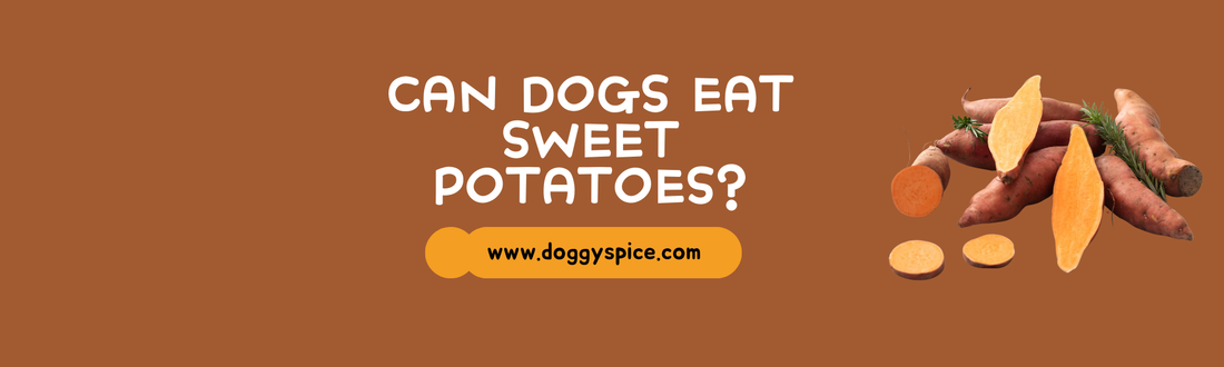 Can Dogs Eat Sweet Potatoes? Benefits and Risks Explained
