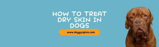 How to Recognize and Treat Dry Skin in Dogs During Winter