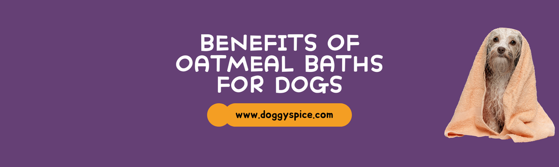 What Are the Benefits of Oatmeal Baths for Dogs?