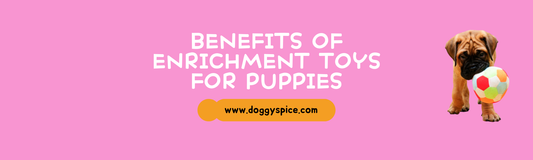 The Benefits of Enrichment Toys for Puppies: Keeping Their Minds Sharp