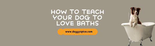 How to Teach Your Dog to Love Taking Baths