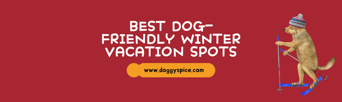 The Best Dog-Friendly Winter Vacation Spots