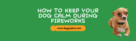 How to Keep Your Dog Calm During Fireworks