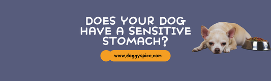 What to Do if Your Dog Has a Sensitive Stomach