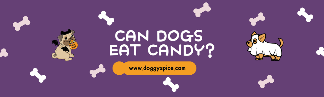 Can Dogs Eat Candy? What You Should Know Before Halloween š»