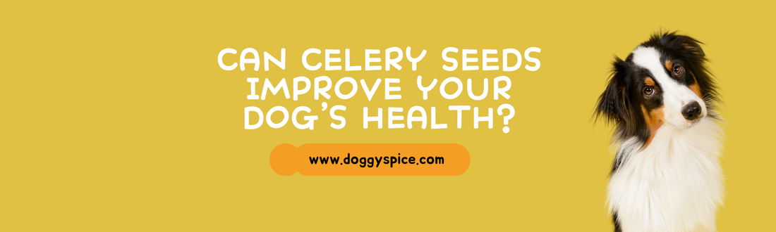 Can Celery Seeds Improve Your Dog’s Health? Benefits and Uses Explained
