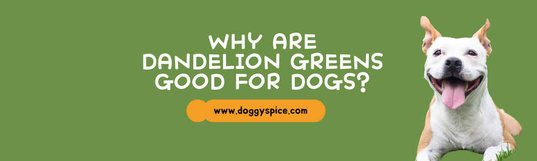 Why Are Dandelion Greens Good for Dogs? Discover Their Surprising Benefits!
