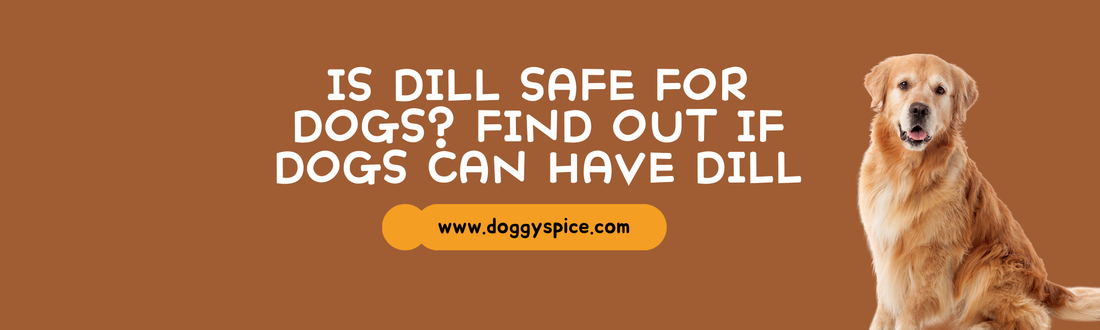 Is Dill Safe for Dogs? Find Out If Dogs Can Have Dill