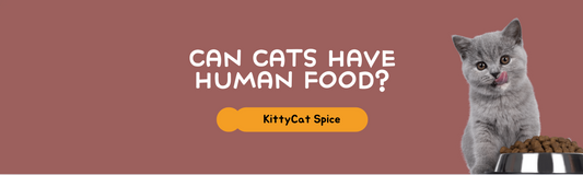 Can Cats Have Human Food?