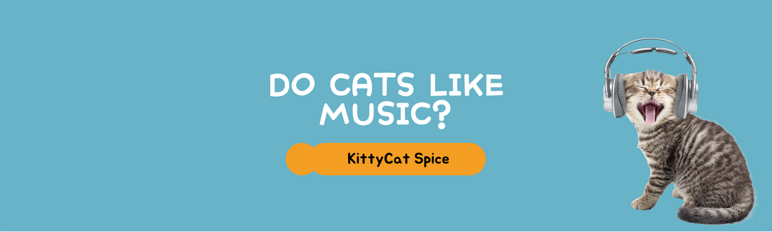 Do Cats Like Listening to Music?