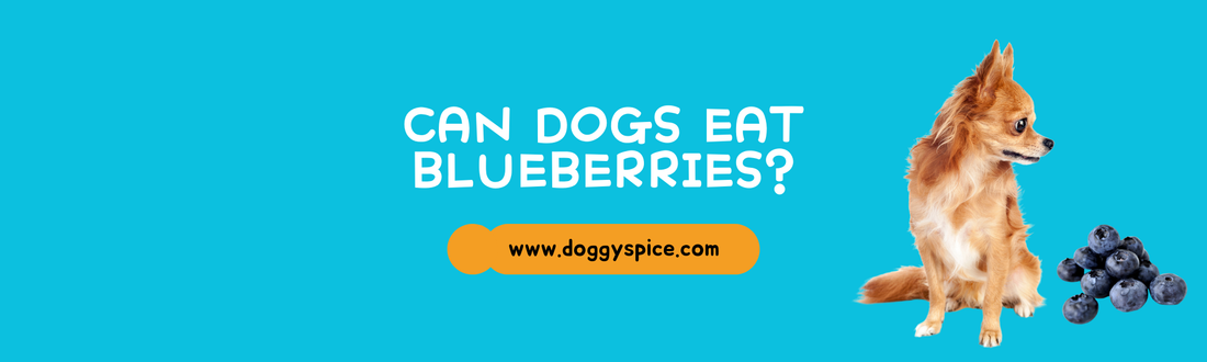 Can Dogs Eat Blueberries? Health Benefits and Serving Ideas