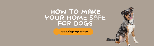 How to Make Your Home Safe for Dogs