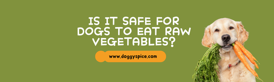 Is It Safe For Dogs to Eat Raw Vegetables?