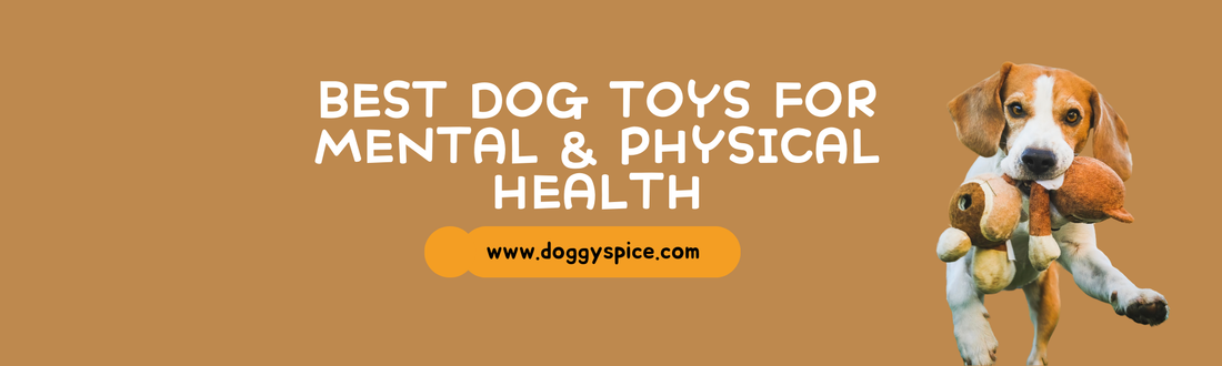 Best Dog Toys or Mental and Physical Health