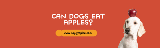 Can Dogs Eat Apples?