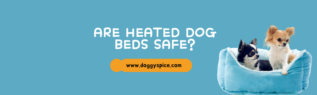 Are Heated Dog Beds Safe?