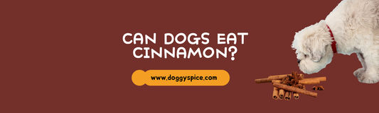 Can Dogs Eat Cinnamon?