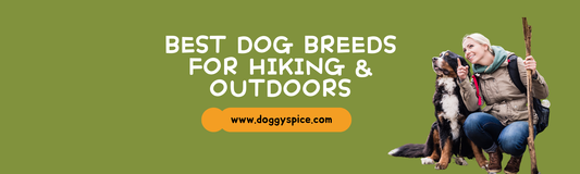 Best Dog Breeds for Hiking and Outdoors