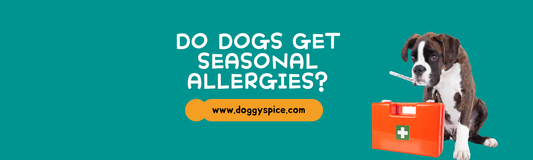 Do Dogs Get Seasonal Allergies?