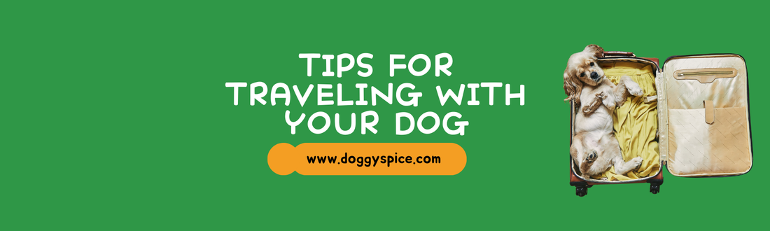 Traveling with Your Dog: Tips for a Smooth Adventure