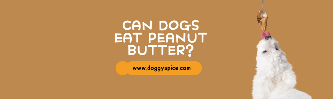 Can Dogs Eat Peanut Butter? The Safe and Healthy Way