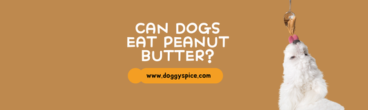 Can Dogs Eat Peanut Butter? The Safe and Healthy Way