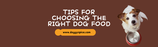 Tips for Choosing the Right Dog Food: Ingredients to Look For