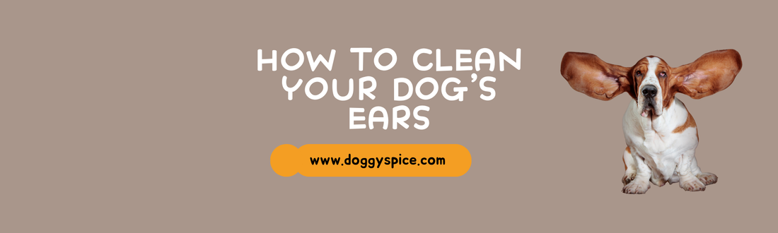 How to Clean Your Dog’s Ears: A Step-by-Step Guide