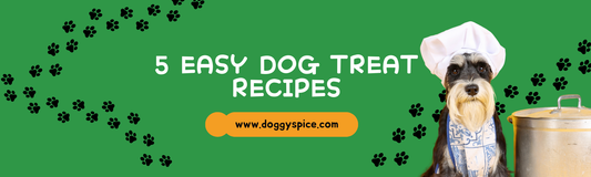 5 Easy Dog Treat Recipes Your Pup Will Love 🐶🍪