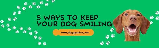 5 Ways To Keep Your Dog Smiling For World Smile Day