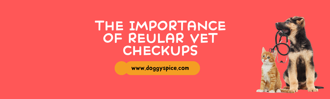 The Importance of Regular Vet Checkups: Keeping Your Dog Healthy Year-Round