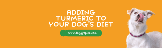 The Benefits of Adding Turmeric to Your Dog’s Diet 🐾🌿