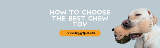 How to Choose the Best Chew Toys for Your Dog’s Dental Health