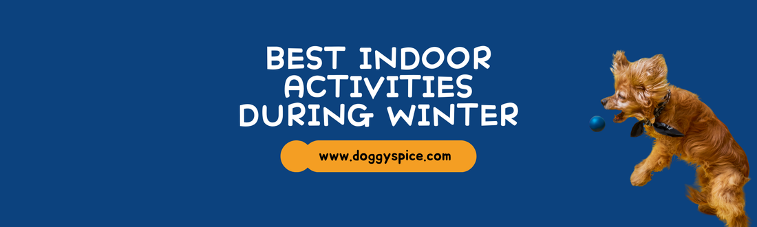 Best Indoor Activities to Keep Your Dog Active During Winter