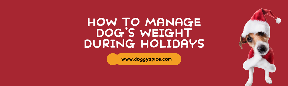 How to Manage Your Dog’s Weight During the Holiday Season 🦴🎄