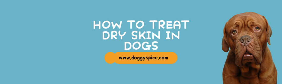 How to Recognize and Treat Dry Skin in Dogs During Winter