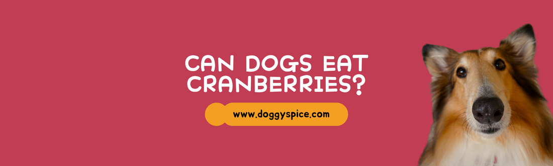 Can Dogs Eat Cranberries? Holiday Treat Ideas for Your Pup