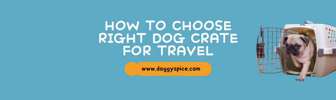 How to Choose the Right Dog Crate for Travel and Training