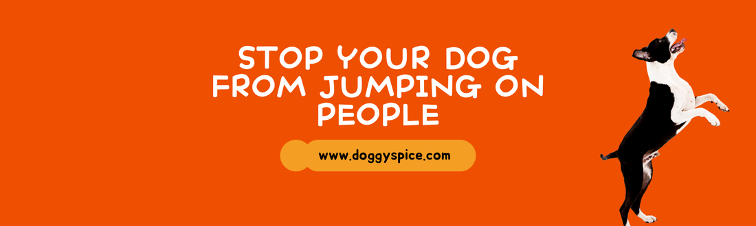 How to Train Your Dog to Stop Jumping on People