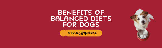 The Benefits of a Balanced Diet for Dogs: Essential Nutrients Explained