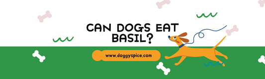 Can Dogs Eat Basil? A Guide To Basil and Your Dog