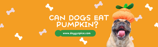 Can Dogs Eat Pumpkin? Everything You Need to Know About Pumpkin for Dogs