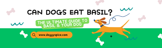 Can Dogs Eat Basil? A Guide To Basil and Your Dog